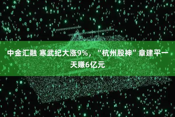 中金汇融 寒武纪大涨9%，“杭州股神”章建平一天赚6亿元