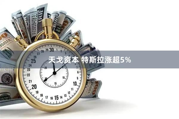 天戈资本 特斯拉涨超5%